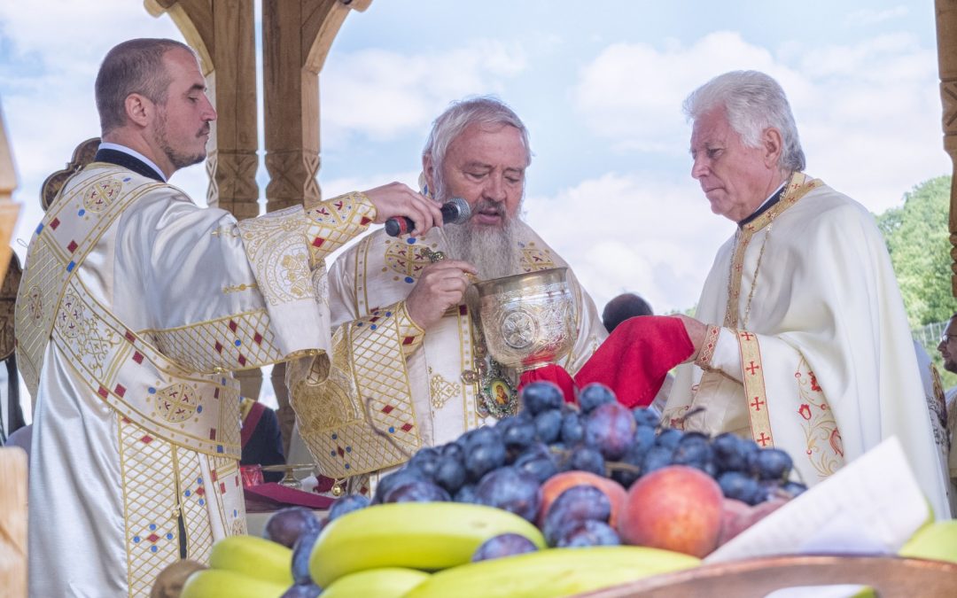 Binecuvintează cununa anului bunătății Tale