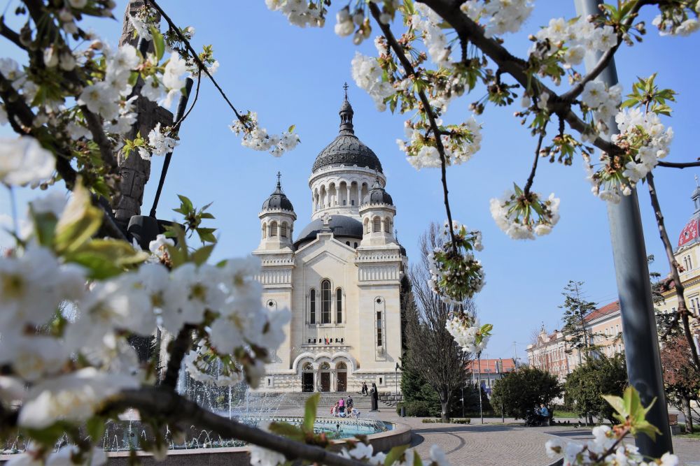 Duminica Sfântului Ioan Scărarul, la Catedrala Mitropolitană din Cluj-Napoca