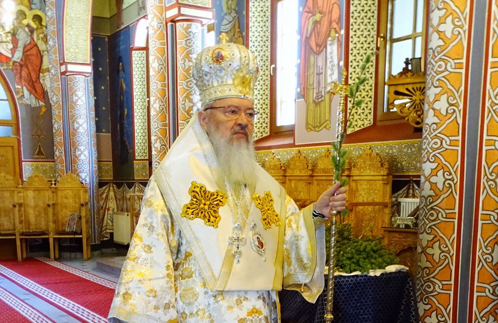 Mitropolitul Andrei – Predică la Praznicul Intrării Domnului în Ierusalim (Duminica Floriilor), 12 aprilie 2020