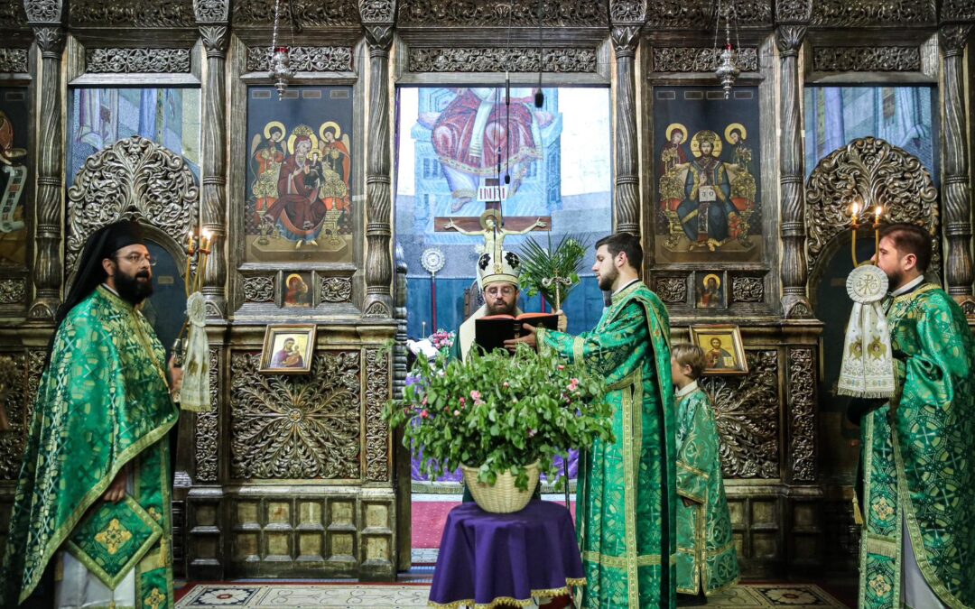 Slujire arhierească la Catedrala Mitropolitană din Cluj-Napoca | Duminica Floriilor