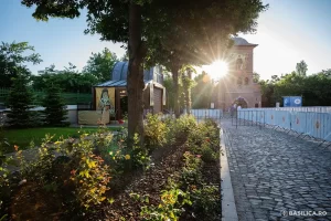 Comunicat: Apel la sprijin în vreme de caniculă
